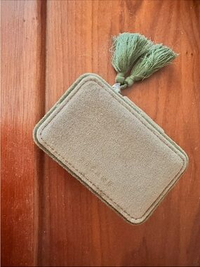 Sezane green velvet travel jewelry case